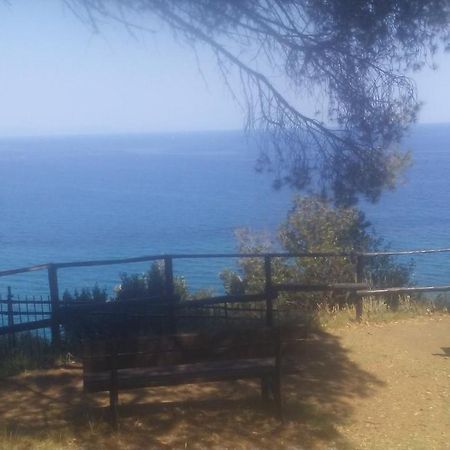 Il Capriolo Bed & Breakfast Celle Ligure Eksteriør bilde
